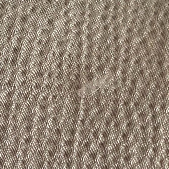 Free Press Jacket in Tan Size M - Picture 10 of 11